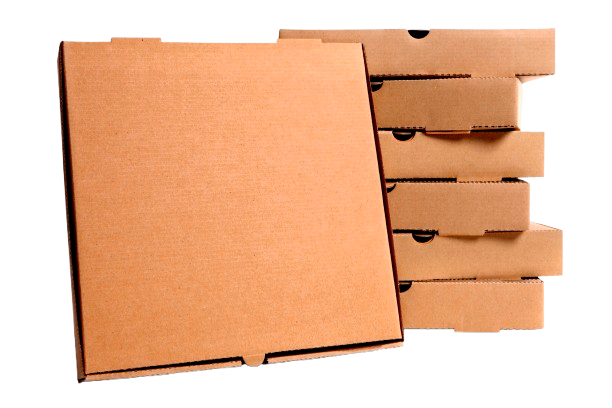 Carton Box 20 inches